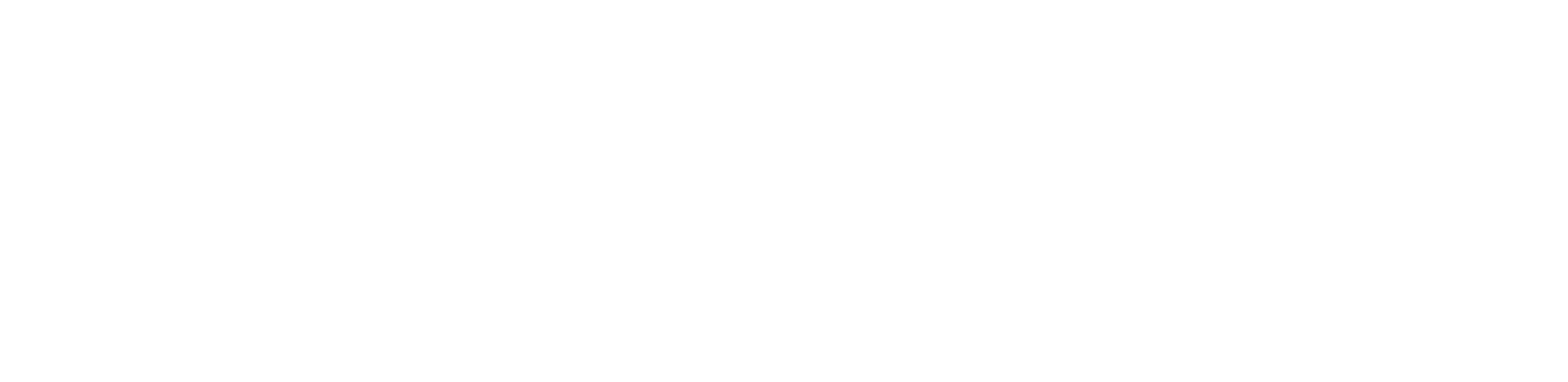 AGROFORT - Implementos Agropecuários